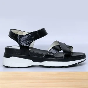 036f Siena Noir Verni