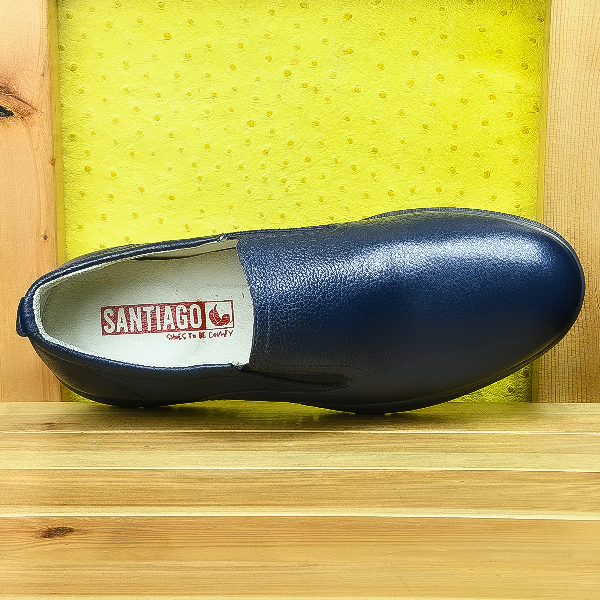 020 Arakno Bleu – Image 4